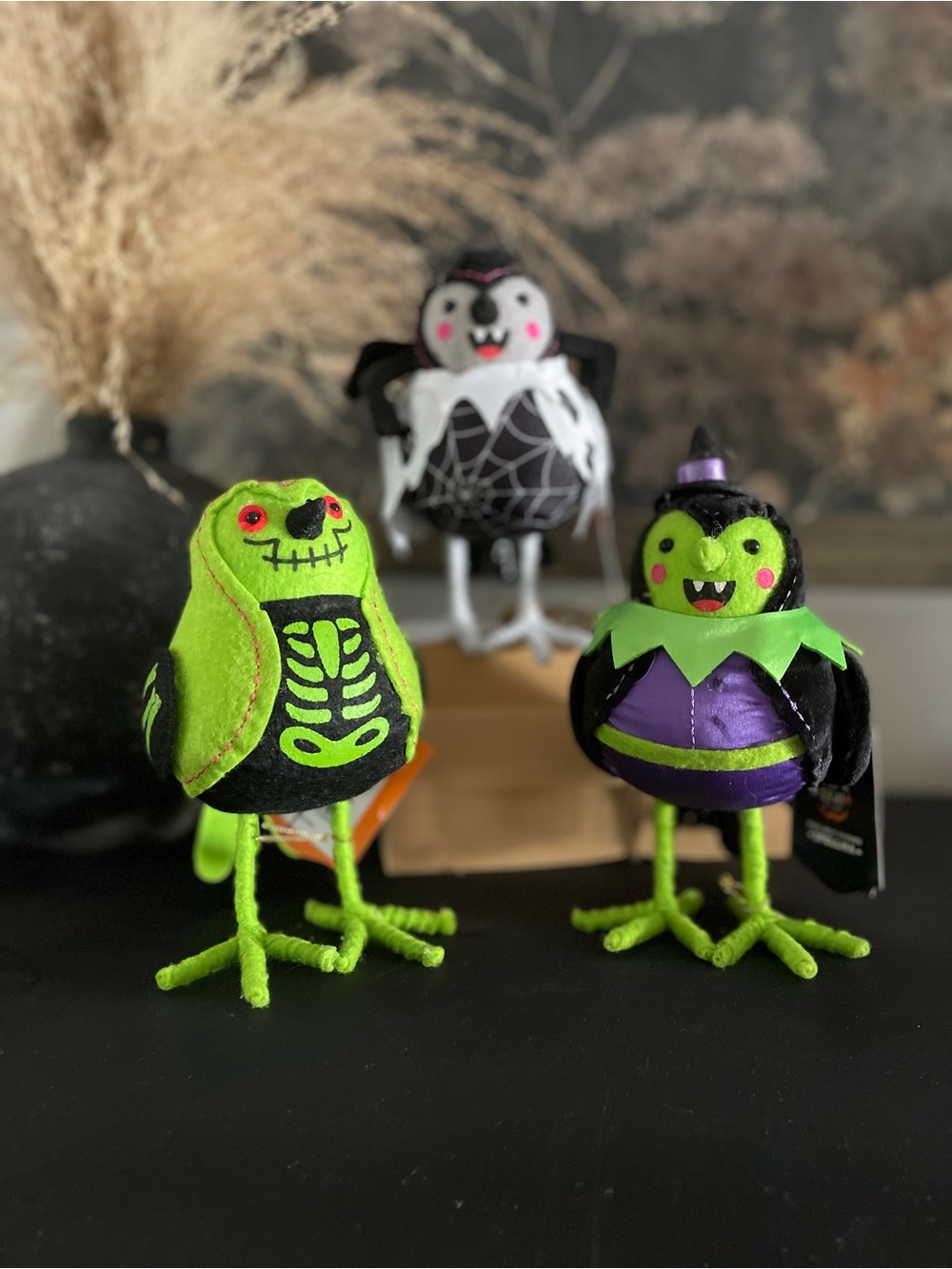 Target Hyde & Eek Feathered Friends / Halloween/ 3